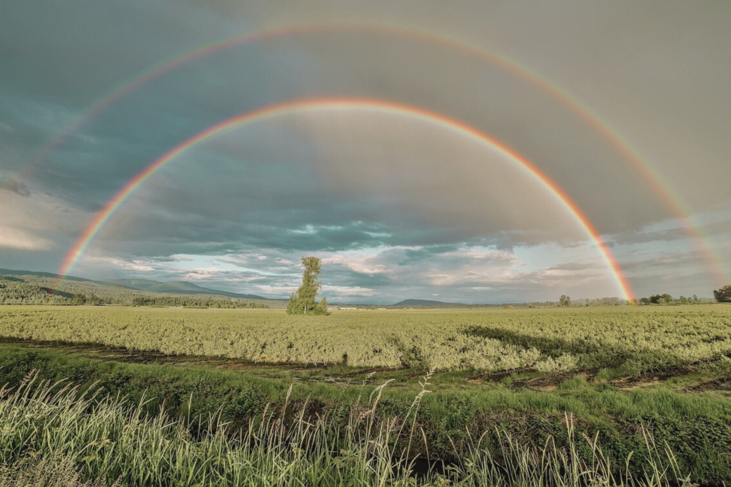 Three Key Factors for Buying a Farm in Canada