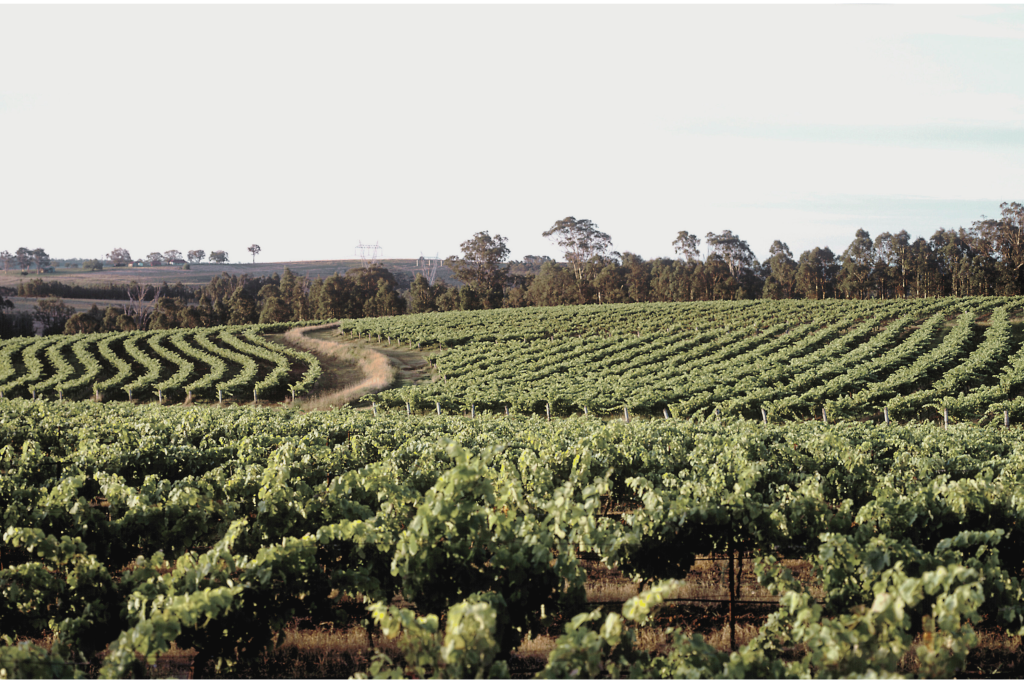 Insights from the Development of Modern Agriculture in Australia