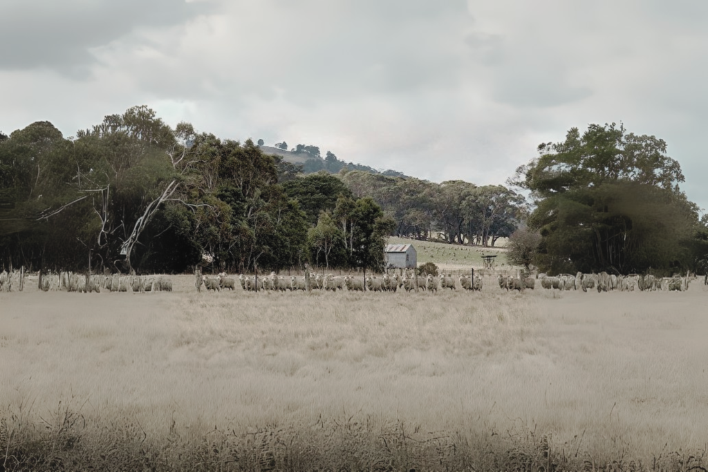 The price of Australian farmland has increased for the 11th consecutive year