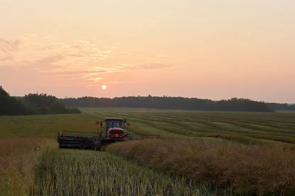 Canadian farmland values rose 6.0 per cent in first half of 2025: FCC report
