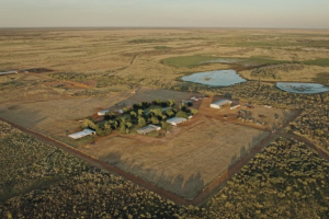 Foreign investors snap up Australian farmland larger than 148 countries combined