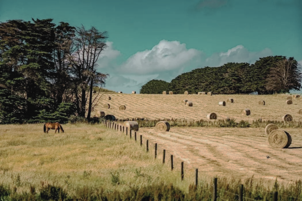 Australian farmland investment accelerates as agriculture nears $100BN